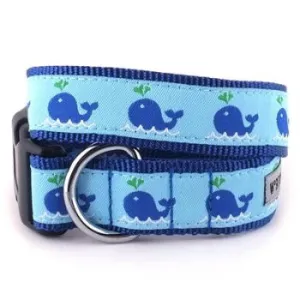 Squirt Collar & Leash Collection